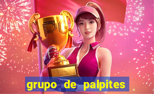 grupo de palpites de futebol whatsapp